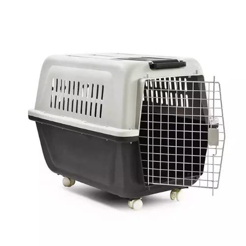 Collapsible Pet Transport Box Crate Cage 22.8x14.5x13.7 Inch - Pablo Pet Paws | Purr - fect Paws Store