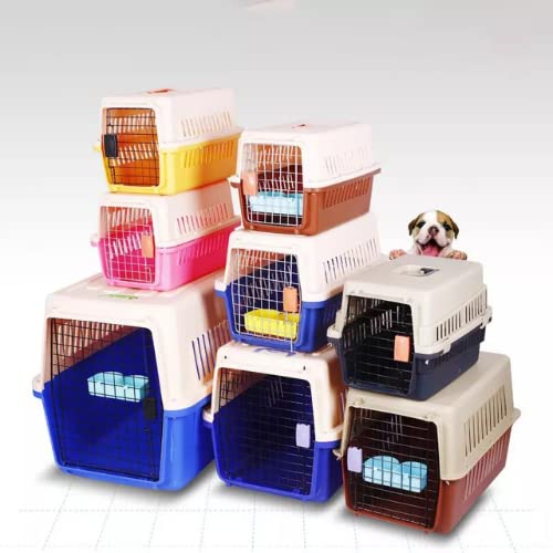 Collapsible Pet Transport Box Crate Cage 22.8x14.5x13.7 Inch - Pablo Pet Paws | Purr - fect Paws Store