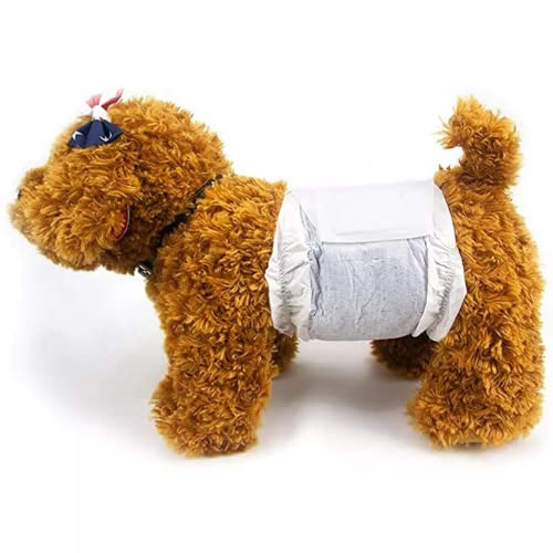 Disposable Pet Diapers for Male Dogs 12 Pcs (Small) - Pablo Pet Paws | Purr - fect Paws Store