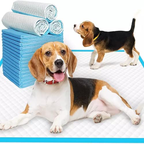 Dog Training Pads with Quick Drying Surface and Absorbent Core (20 Pack, 60x90 CM) - Pablo Pet Paws | Purr - fect Paws Store