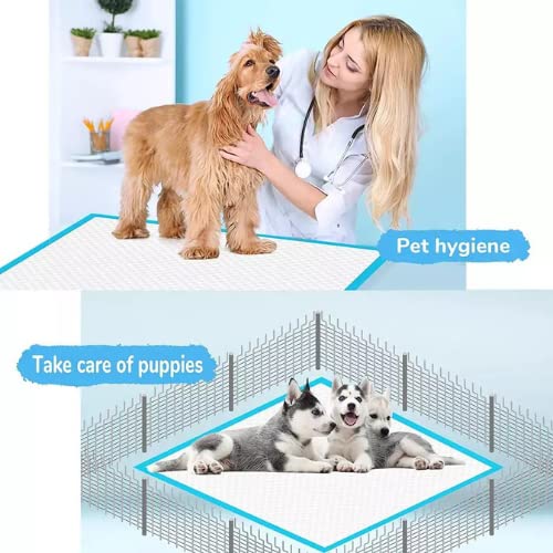 Dog Training Pads with Quick Drying Surface and Absorbent Core (20 Pack, 60x90 CM) - Pablo Pet Paws | Purr - fect Paws Store