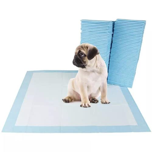 Dog Training Pads with Quick Drying Surface and Absorbent Core (20 Pack, 60x90 CM) - Pablo Pet Paws | Purr - fect Paws Store