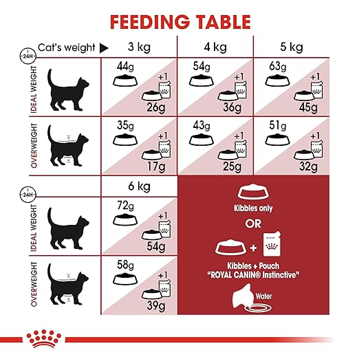 Royal Canin Fit 32 Powder Adult Cat Food - Pablo Pet Paws | Purr - fect Paws Store